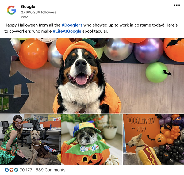 Zwierzęta w employer brandingu