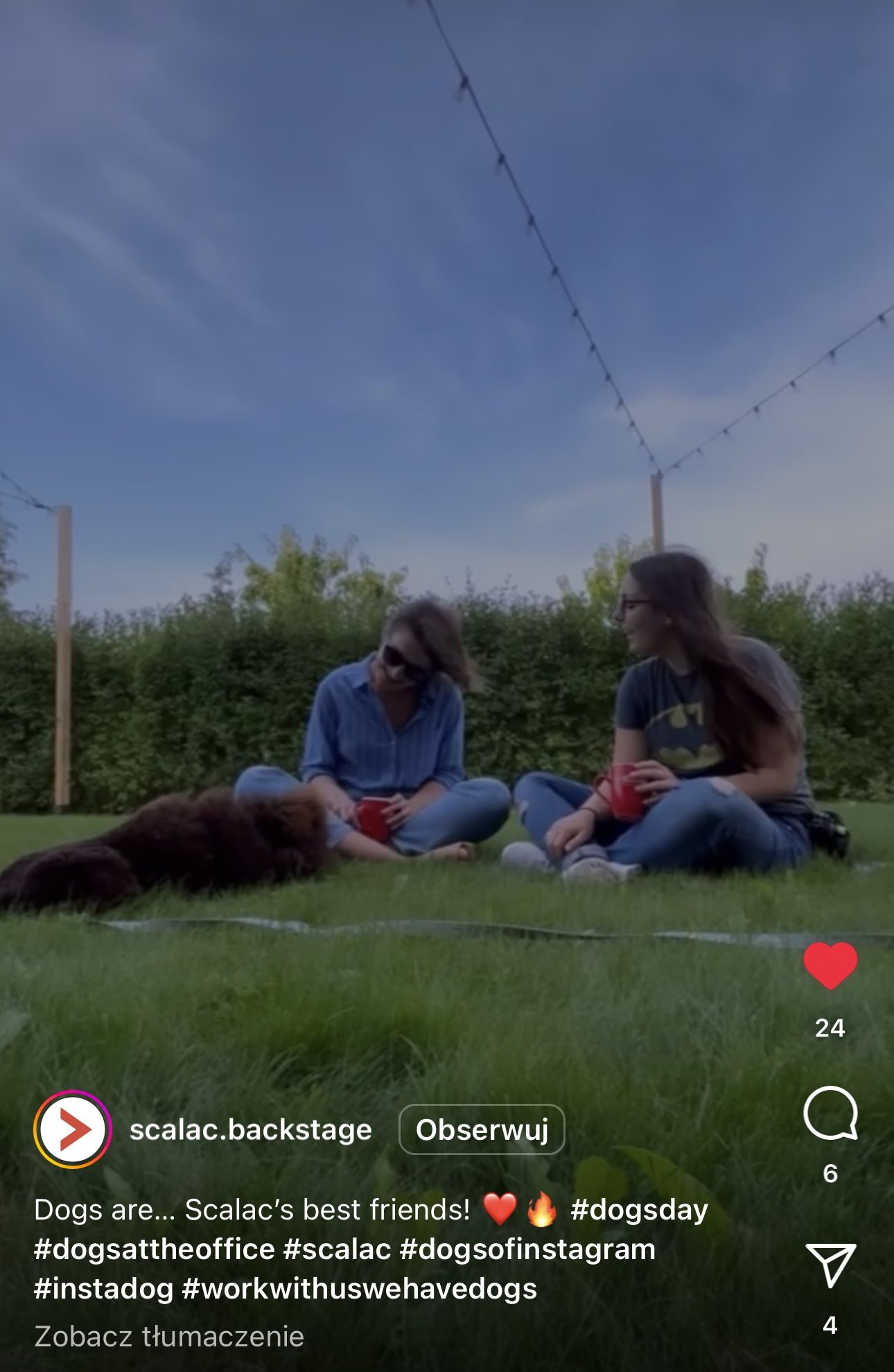 Zwierzęta w employer brandingu