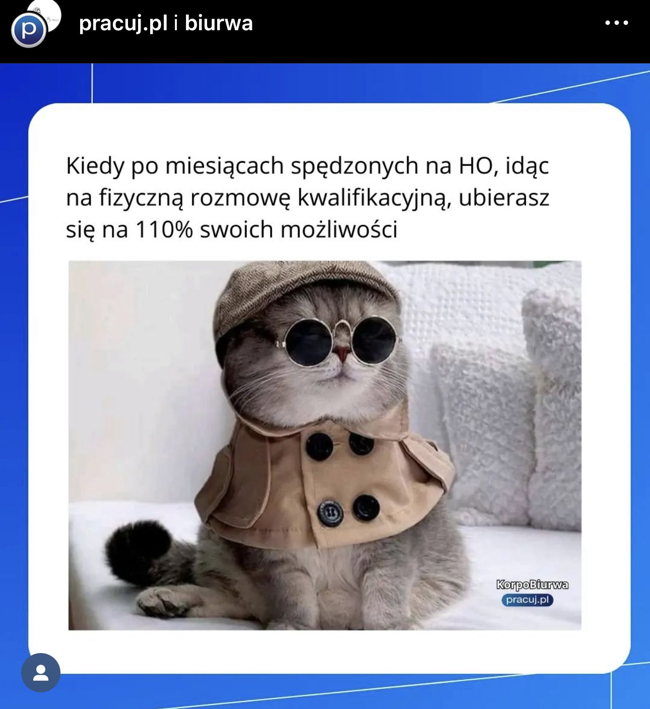 Zwierzęta w employer brandingu